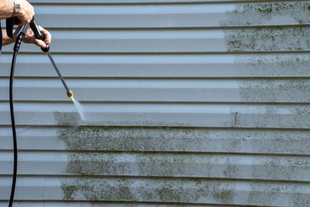Best Property Management Cleanouts  in Powell, AL